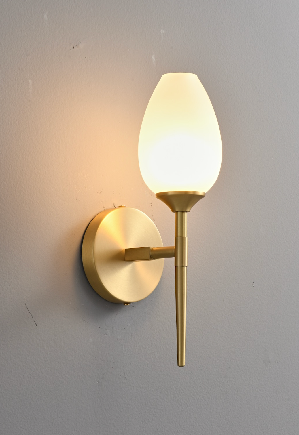 Zensori Tulip Wall Light
