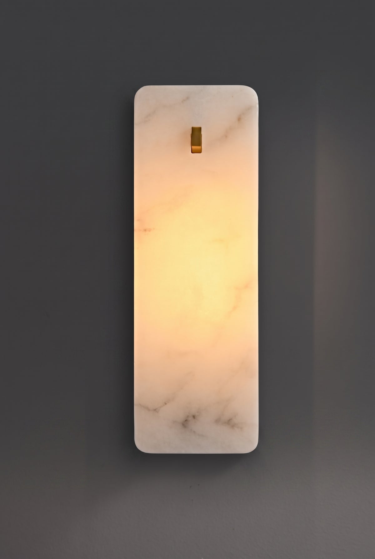 Zensori Zenith Wall Luminary Light